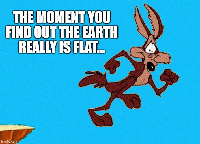 Meep Meep | THE MOMENT YOU FIND OUT THE EARTH REALLY IS FLAT... | image tagged in wile e coyote,road runner,bugs bunny,flat earth,flat earthers | made w/ Imgflip meme maker