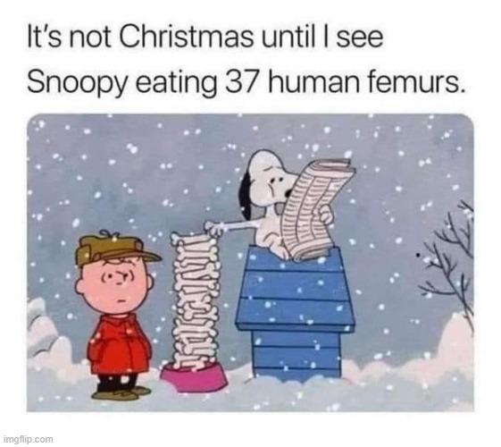 Not Christmas | image tagged in dark humor | made w/ Imgflip meme maker