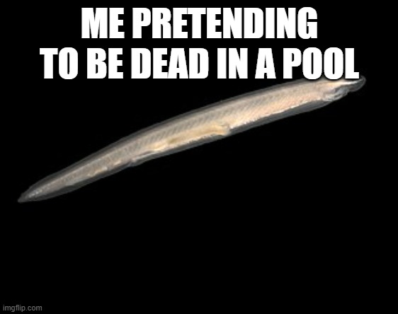 me: | ME PRETENDING TO BE DEAD IN A POOL | image tagged in butter | made w/ Imgflip meme maker