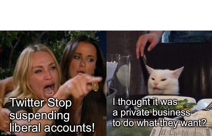 Woman Yelling At Cat |  Twitter Stop suspending liberal accounts! I thought it was a private business to do what they want? | image tagged in memes,woman yelling at cat | made w/ Imgflip meme maker