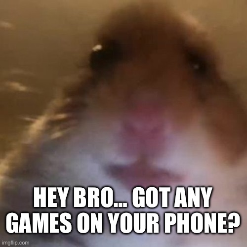 Games | HEY BRO… GOT ANY GAMES ON YOUR PHONE? | image tagged in hampter | made w/ Imgflip meme maker