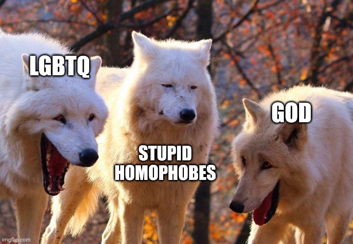 2/3 wolves laugh | LGBTQ STUPID HOMOPHOBES GOD | image tagged in 2/3 wolves laugh | made w/ Imgflip meme maker