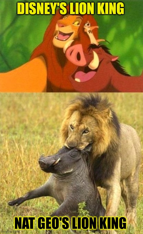 DISNEY'S LION KING NAT GEO'S LION KING | made w/ Imgflip meme maker