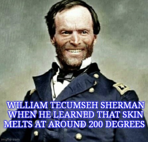 General Sherman is Happy | WILLIAM TECUMSEH SHERMAN WHEN HE LEARNED THAT SKIN MELTS AT AROUND 200 DEGREES | image tagged in general sherman is happy | made w/ Imgflip meme maker