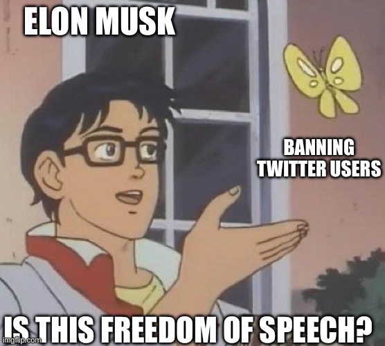 Musk and Freedom of Speech | ELON MUSK; BANNING TWITTER USERS; IS THIS FREEDOM OF SPEECH? | image tagged in is this butterfly | made w/ Imgflip meme maker