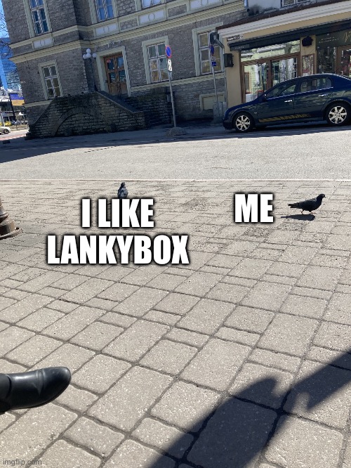 Pigeon leaves another pigeon | ME; I LIKE LANKYBOX | image tagged in pigeon leaves another pigeon | made w/ Imgflip meme maker