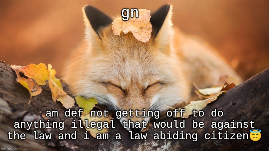 (epic roblox music plays) | gn; am def not getting off to do anything illegal that would be against the law and i am a law abiding citizen😇 | image tagged in goodnight | made w/ Imgflip meme maker