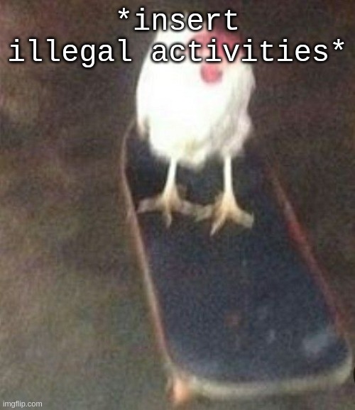 Dog on skateboard | *insert illegal activities* | image tagged in dog on skateboard | made w/ Imgflip meme maker