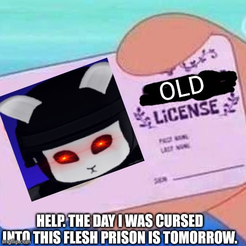 Clown license | OLD; HELP. THE DAY I WAS CURSED INTO THIS FLESH PRISON IS TOMORROW. | image tagged in clown license | made w/ Imgflip meme maker
