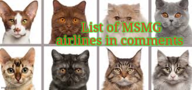 YourLocalKotek annoucment | List of MSMG airlines in comments | image tagged in yourlocalkotek annoucment | made w/ Imgflip meme maker