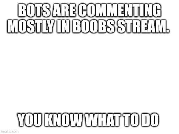 BOTS ARE COMMENTING MOSTLY IN BOOBS STREAM. YOU KNOW WHAT TO DO | made w/ Imgflip meme maker