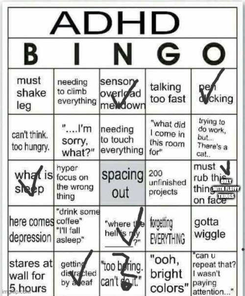 Not a lot I guess | ONLY WITH FLUFFY THINGS | image tagged in adhd bingo | made w/ Imgflip meme maker