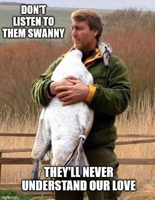 DON'T LISTEN TO THEM SWANNY; THEY'LL NEVER UNDERSTAND OUR LOVE | image tagged in swanny,man,love | made w/ Imgflip meme maker