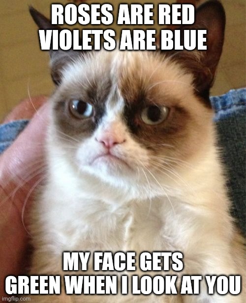 Grumpy Cat | ROSES ARE RED
VIOLETS ARE BLUE; MY FACE GETS GREEN WHEN I LOOK AT YOU | image tagged in memes,grumpy cat | made w/ Imgflip meme maker