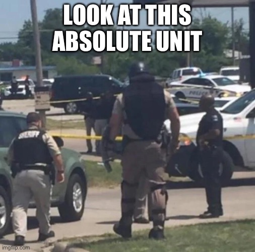 This guy 6ft9 330 lbs and is a riot officer in Alabama | LOOK AT THIS ABSOLUTE UNIT | image tagged in chad | made w/ Imgflip meme maker