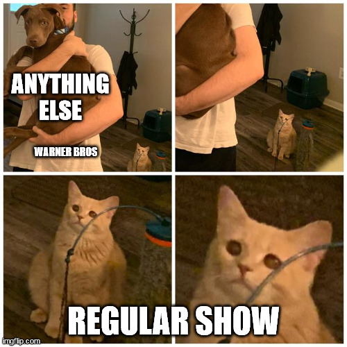 accurate | ANYTHING ELSE; WARNER BROS; REGULAR SHOW | image tagged in sad cat guy holding dog,regularshowsweep | made w/ Imgflip meme maker