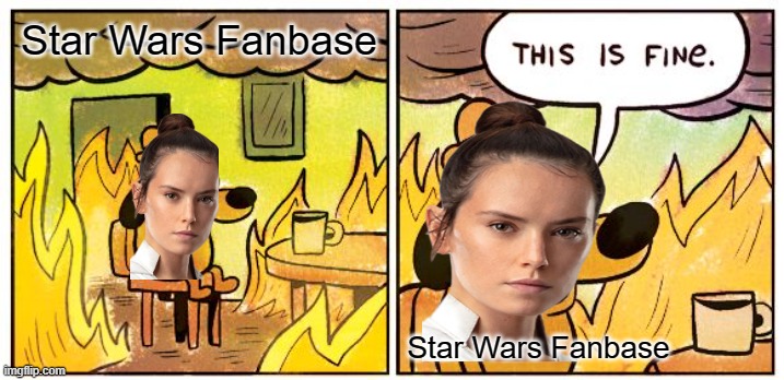 This Is Fine Meme | Star Wars Fanbase; Star Wars Fanbase | image tagged in memes,this is fine | made w/ Imgflip meme maker