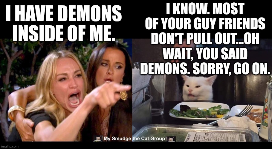 I KNOW. MOST OF YOUR GUY FRIENDS DON'T PULL OUT...OH WAIT, YOU SAID DEMONS. SORRY, GO ON. I HAVE DEMONS INSIDE OF ME. | image tagged in smudge the cat | made w/ Imgflip meme maker