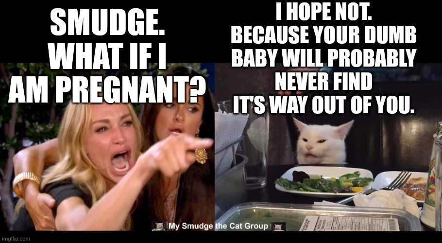I HOPE NOT. BECAUSE YOUR DUMB BABY WILL PROBABLY NEVER FIND IT'S WAY OUT OF YOU. SMUDGE. WHAT IF I AM PREGNANT? | image tagged in smudge the cat | made w/ Imgflip meme maker