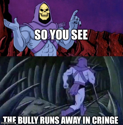 he man skeleton advices | SO YOU SEE; THE BULLY RUNS AWAY IN CRINGE | image tagged in he man skeleton advices | made w/ Imgflip meme maker