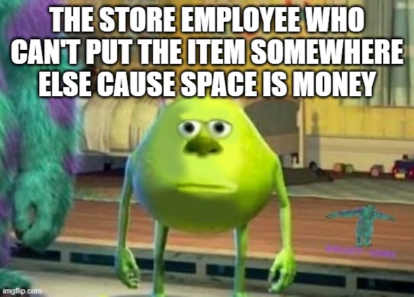 Monster Green Meme | THE STORE EMPLOYEE WHO CAN'T PUT THE ITEM SOMEWHERE ELSE CAUSE SPACE IS MONEY | image tagged in monster green meme | made w/ Imgflip meme maker