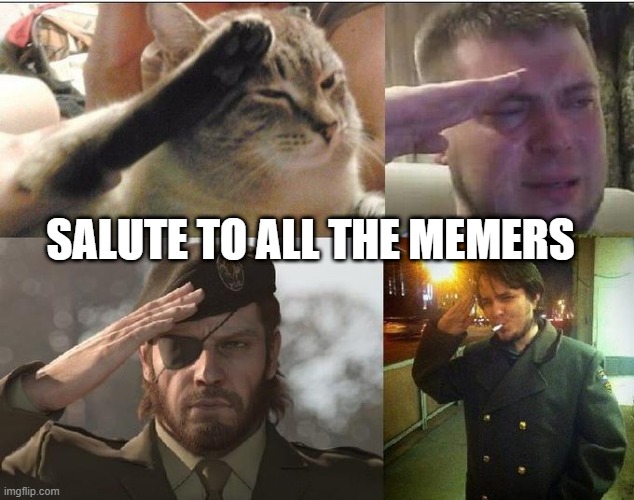 Ozon's Salute | SALUTE TO ALL THE MEMERS | image tagged in ozon's salute | made w/ Imgflip meme maker