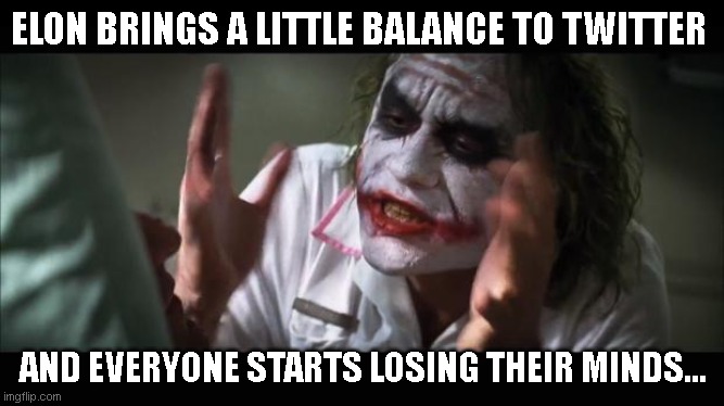 Elon brings balance | ELON BRINGS A LITTLE BALANCE TO TWITTER; AND EVERYONE STARTS LOSING THEIR MINDS... | image tagged in elon musk,twitter | made w/ Imgflip meme maker