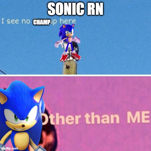 THIS WAS SONIC'S BEST YEAR IN A LONG TIME! | SONIC RN; CHAMP | image tagged in funny | made w/ Imgflip meme maker