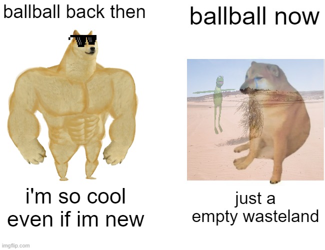 my account 2 years later... | ballball back then; ballball now; i'm so cool even if im new; just a empty wasteland | image tagged in memes,buff doge vs cheems | made w/ Imgflip meme maker