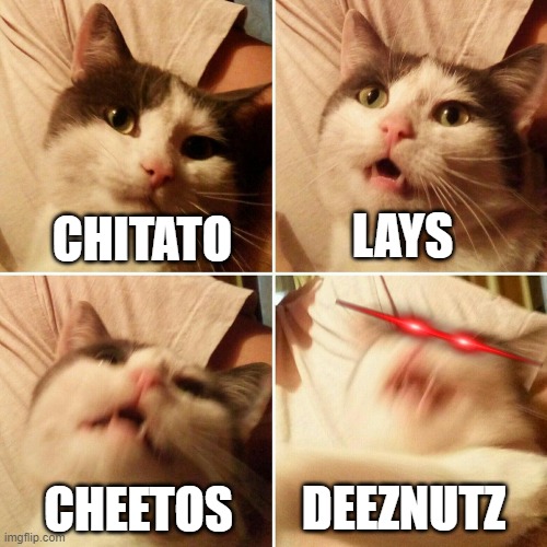 chips. | LAYS; CHITATO; DEEZNUTZ; CHEETOS | image tagged in chips,memes | made w/ Imgflip meme maker