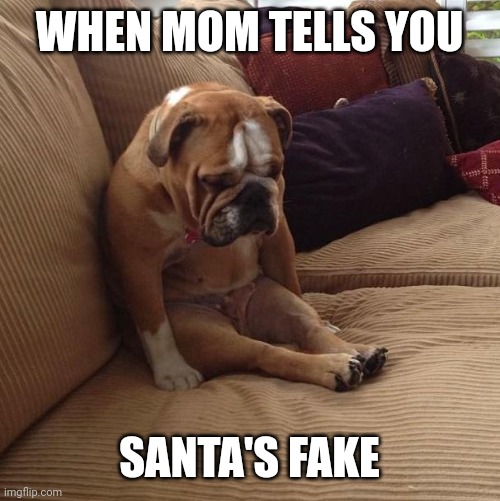 Hehehehaw | WHEN MOM TELLS YOU; SANTA'S FAKE | image tagged in bulldogsad,funny,memes,funny memes,dogs,christmas | made w/ Imgflip meme maker