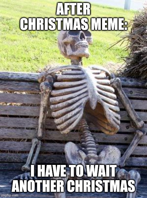 The next year | AFTER CHRISTMAS MEME:; I HAVE TO WAIT ANOTHER CHRISTMAS | image tagged in memes,waiting skeleton | made w/ Imgflip meme maker