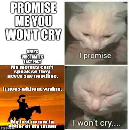 I promise I won't cry | PROMISE ME YOU WON'T CRY; HERE'S WHO_AM_I'S LAST POST | image tagged in i promise i won't cry | made w/ Imgflip meme maker