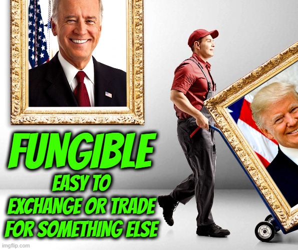 FUNGIBLE | FUNGIBLE; EASY TO EXCHANGE OR TRADE FOR SOMETHING ELSE | image tagged in fungible,nft,replace,trade,exchange,interchangeable | made w/ Imgflip meme maker