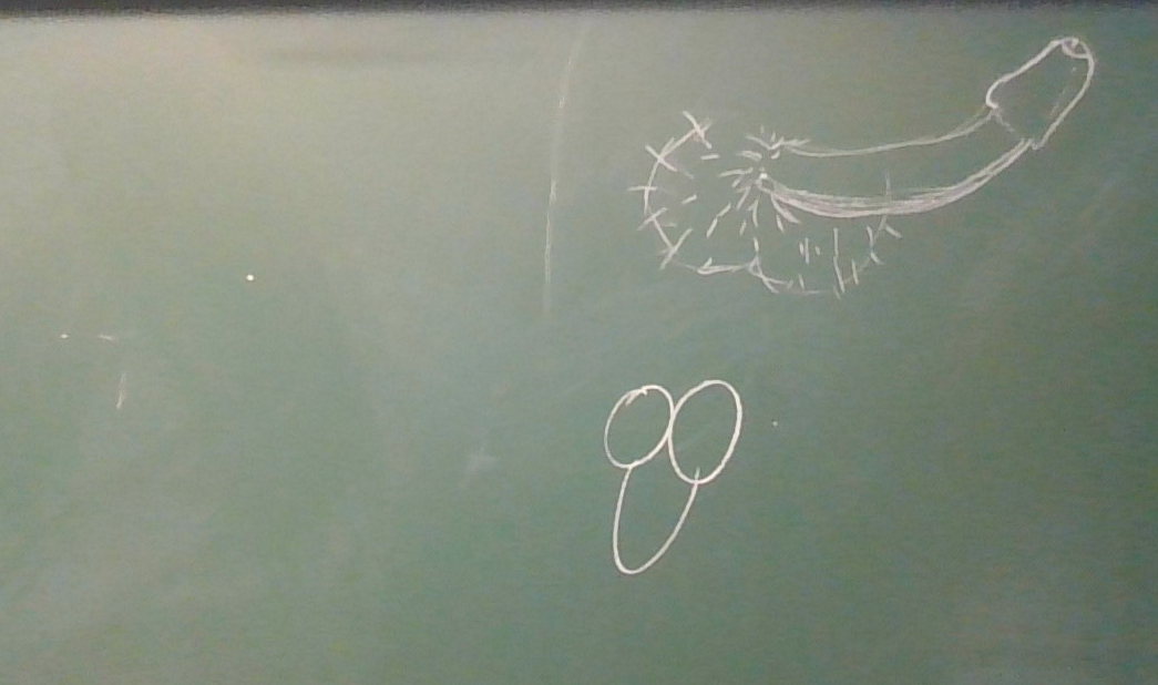 there is two types of ppl. pp drawing on blackboard Blank Meme Template