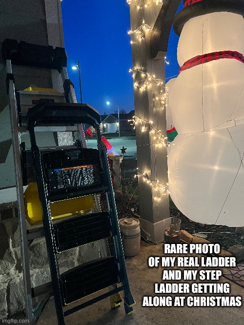 My REAL ladder | RARE PHOTO OF MY REAL LADDER AND MY STEP LADDER GETTING ALONG AT CHRISTMAS | image tagged in ladders,christmas | made w/ Imgflip meme maker