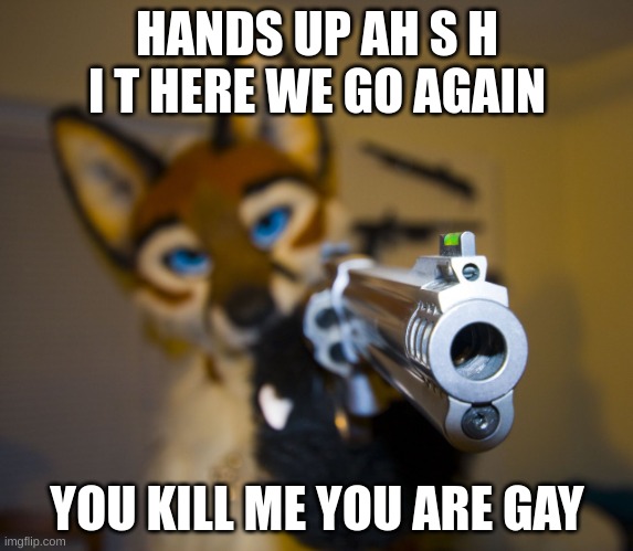 Furry with gun | HANDS UP AH S H I T HERE WE GO AGAIN; YOU KILL ME YOU ARE GAY | image tagged in furry with gun | made w/ Imgflip meme maker