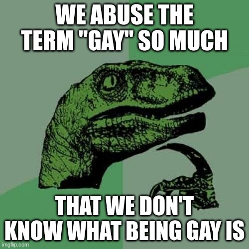 Philosoraptor | WE ABUSE THE TERM "GAY" SO MUCH; THAT WE DON'T KNOW WHAT BEING GAY IS | image tagged in memes,philosoraptor | made w/ Imgflip meme maker
