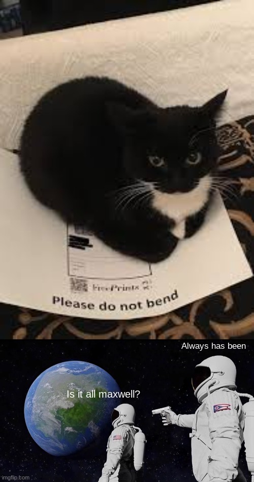Maxwell | Always has been; Is it all maxwell? | image tagged in memes,always has been,cat,paper,funny,jokes | made w/ Imgflip meme maker