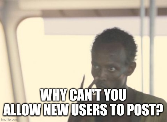 Why? | WHY CAN'T YOU ALLOW NEW USERS TO POST? | image tagged in memes,i'm the captain now | made w/ Imgflip meme maker