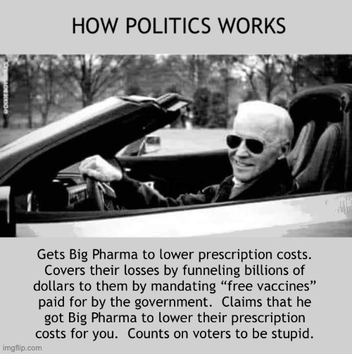 Remember That "Government Money" Is Taxpayer Money | image tagged in biden,scam,sounds legit | made w/ Imgflip meme maker