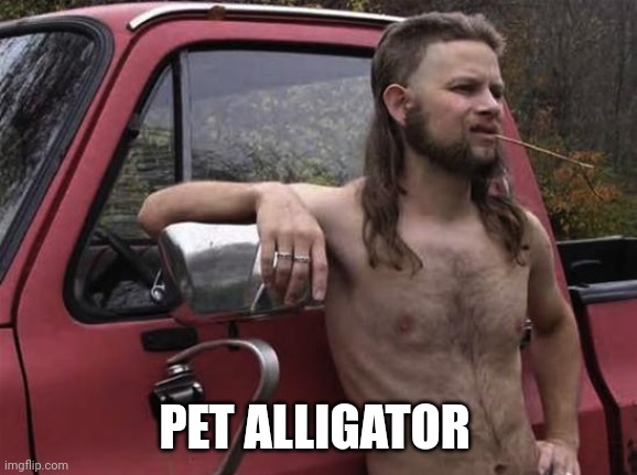 almost politically correct redneck red neck | PET ALLIGATOR | image tagged in almost politically correct redneck red neck | made w/ Imgflip meme maker