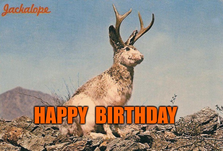 Jakalope Happy Birthday | HAPPY  BIRTHDAY | image tagged in happy birthday | made w/ Imgflip meme maker