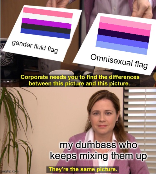 I'm not gender fluid or omnisexual but I seriously keep forget which flag is which | gender fluid flag; Omnisexual flag; my dumbass who keeps mixing them up | image tagged in memes,they're the same picture,lgbtq,gender fluid,omnisexual,pride flags | made w/ Imgflip meme maker