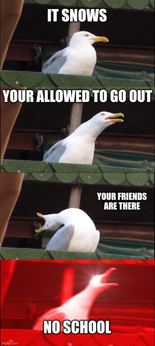 POV:it snows | IT SNOWS; YOUR ALLOWED TO GO OUT; YOUR FRIENDS ARE THERE; NO SCHOOL | image tagged in memes,inhaling seagull | made w/ Imgflip meme maker