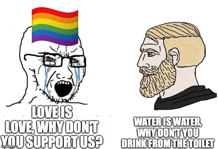 Soyboy Vs Yes Chad | WATER IS WATER, WHY DON'T YOU DRINK FROM THE TOILET; LOVE IS LOVE, WHY DON'T YOU SUPPORT US? | image tagged in soyboy vs yes chad | made w/ Imgflip meme maker