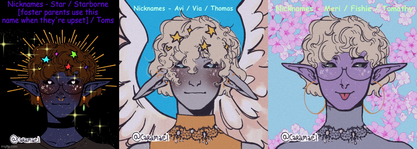 idk | Nicknames - Star / Starborne [foster parents use this name when they're upset] / Toms; Nicknames - Avi / Via / Thomas; Nicknames - Meri / Fishie / Tomathy | made w/ Imgflip meme maker