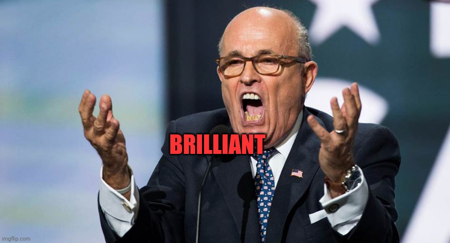 Guiliani | BRILLIANT | image tagged in guiliani | made w/ Imgflip meme maker