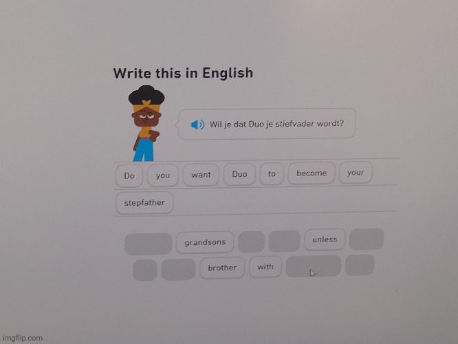 NO WTF | image tagged in duolingo | made w/ Imgflip meme maker