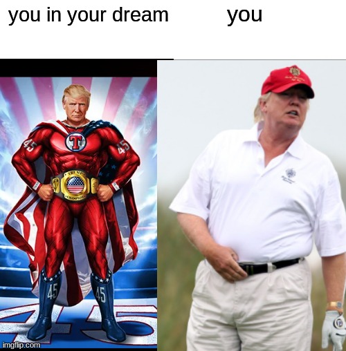 trump trading cards are real | you; you in your dream | image tagged in memes | made w/ Imgflip meme maker